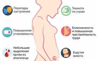 4 неделя беременности: важные моменты и советы