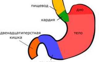 Желудочное кровотечение. Причины, симптомы, диагностика и лечение патологии у пациентов