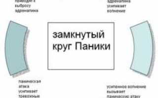Паническая атака — причины, симптомы и лечение патологии у взрослых.