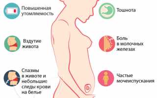6 неделя беременности: важные моменты и советы