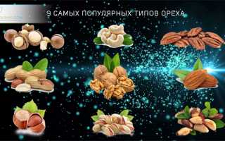 Грецкий орех – уникальный источник антиоксидантов и защитник сердца для здоровья