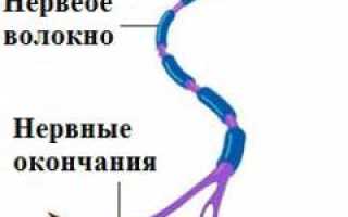 Нервный тик у взрослых. Причины, симптомы и лечение патологии: важные аспекты