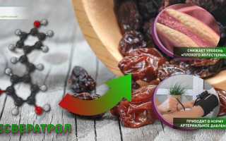 Горсть изюма каждый день – здоровое сердце и молодой организм для долголетия