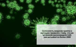 Грипп при беременности: советы и рекомендации