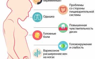 15 неделя беременности: важные моменты и советы
