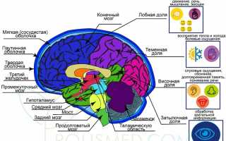 Головокружение — причины, лечение патологии, приводящей к головокружению и ее последствия