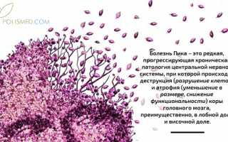Болезнь Пика. Причины, симптомы, профилактика и лечение патологии у пациентов