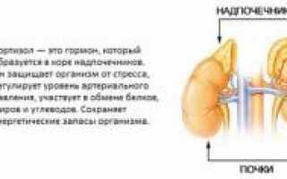 Утро — худшее время для кофе и бодрствования