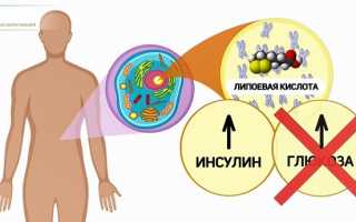 Как безнаказанно есть сладкое и мучное: способы нейтрализации вреда быстрых углеводов для здоровья