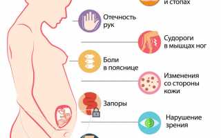 24 неделя беременности: что нужно знать