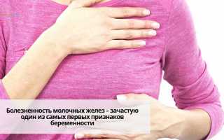 Первый триместр беременности – всё, что нужно знать для будущих мам