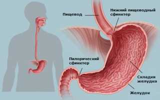 Рефлюкс эзофагит — причины, симптомы, современная диагностика и эффективное лечение для здоровья