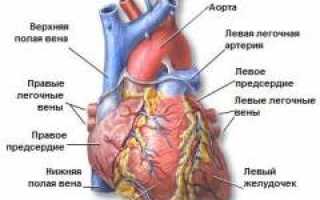 Пороки сердца. Пороки митрального клапана: причины и лечение.
