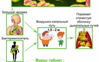 Коклюш. Причины, симптомы, диагностика и лечение болезни у детей