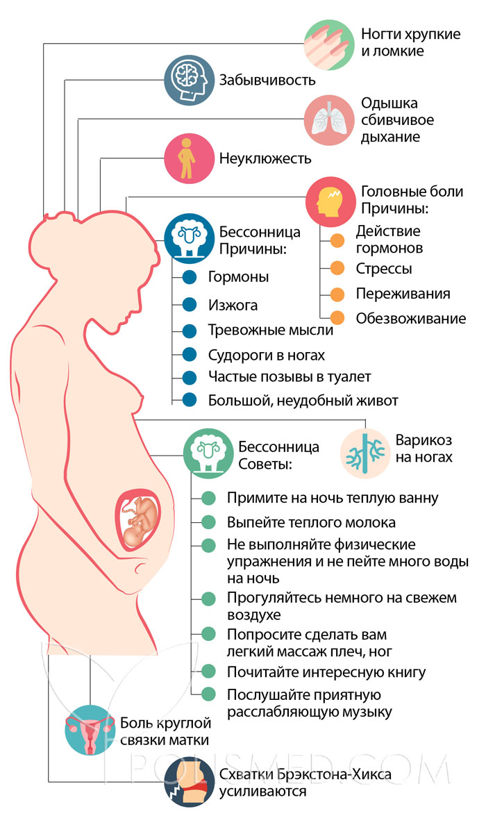 33 неделя беременности инфографика