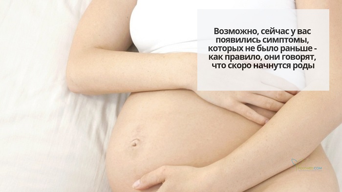 Живот беременной женщины