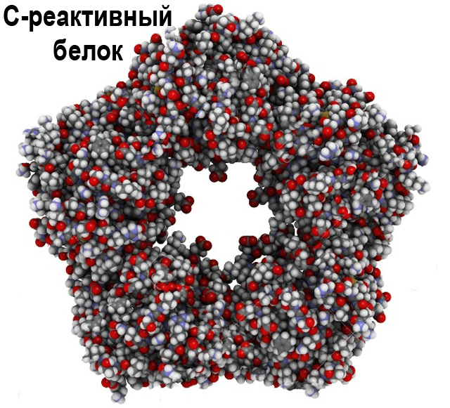 С-реактивный белок