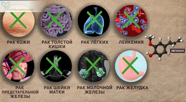 профилактика онкологии