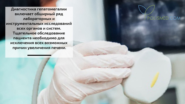 Диагностика гепатомегалии