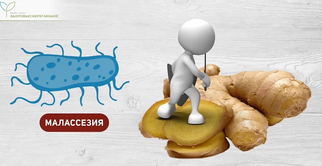 имбирь