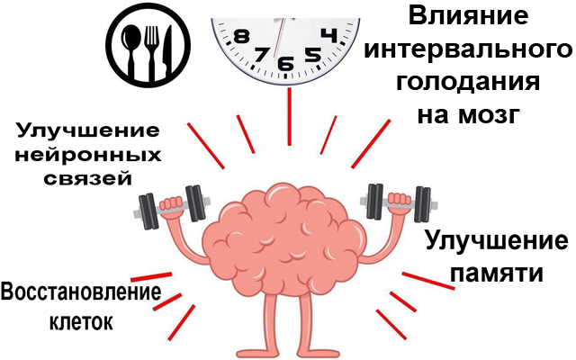 Стимуляция восстановления нервных клеток