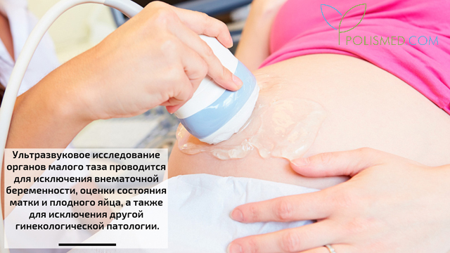 УЗИ при беременности