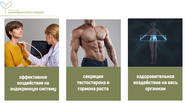 польза статодинамических упражнений