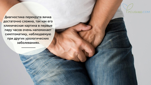 Диагностика перекрута яичка