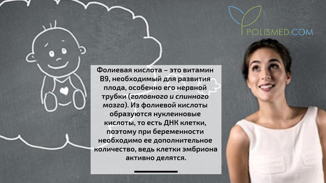 Фолиевая кислота при планировании беременности