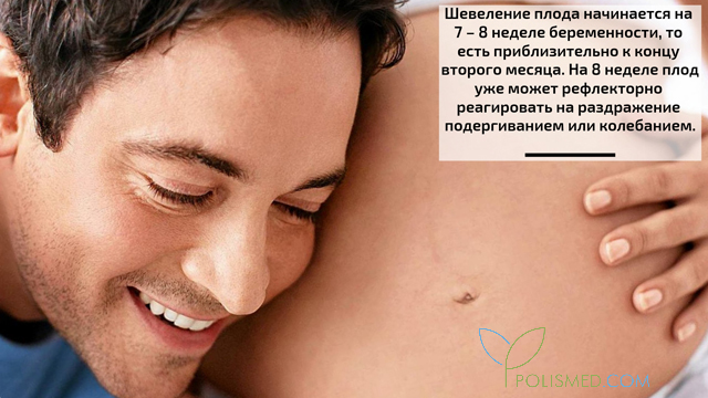 Шевеление плода