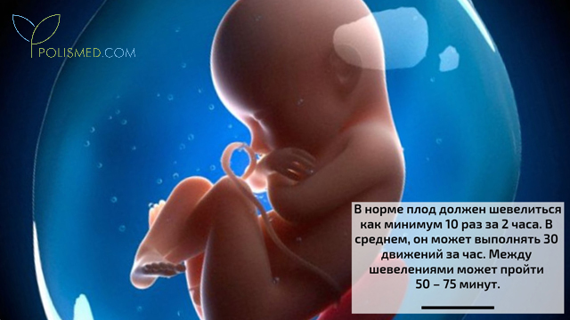 Норма шевеления плода