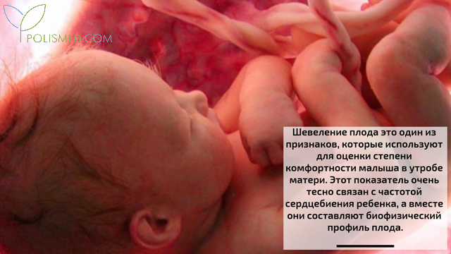 Подсчет количества шевелений плода