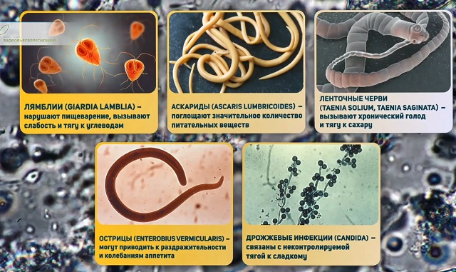 паразиты