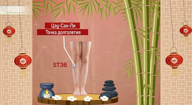 Точка долголетия