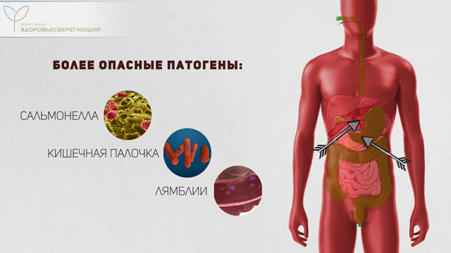 Опасные патогены