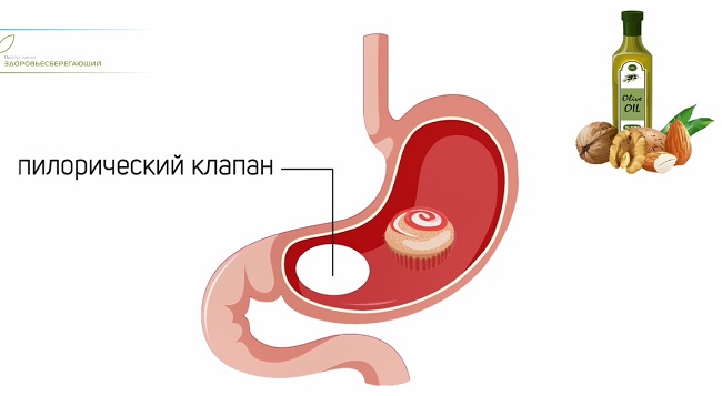жиры