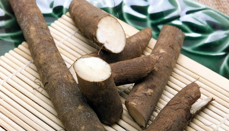 Корень лопуха