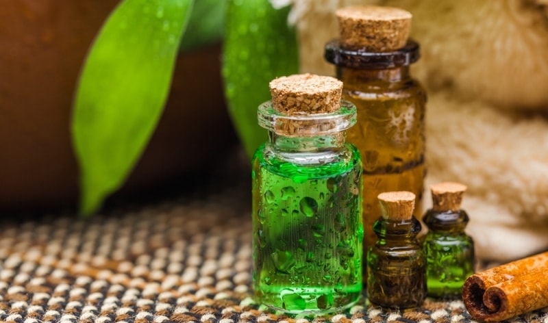 Масло чайного дерева