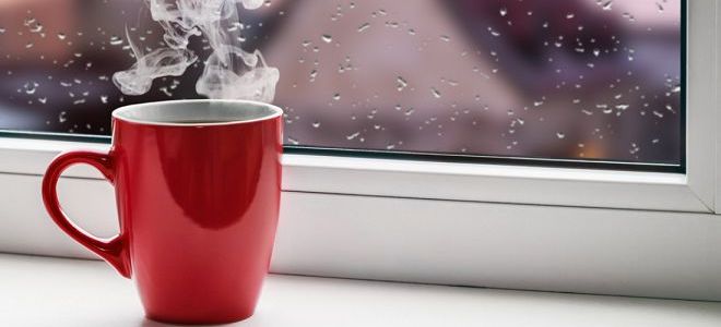 чай грин слим состав