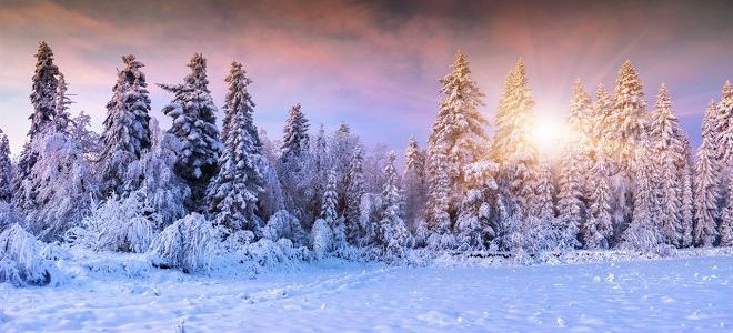 что означает татьянин день