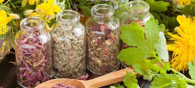 что такое метаболизм в организме человека