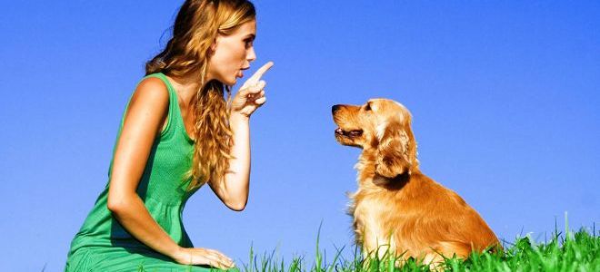 что такое условный рефлекс