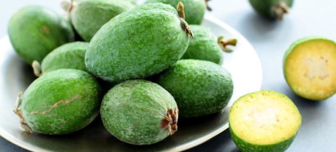 фейхоа состав