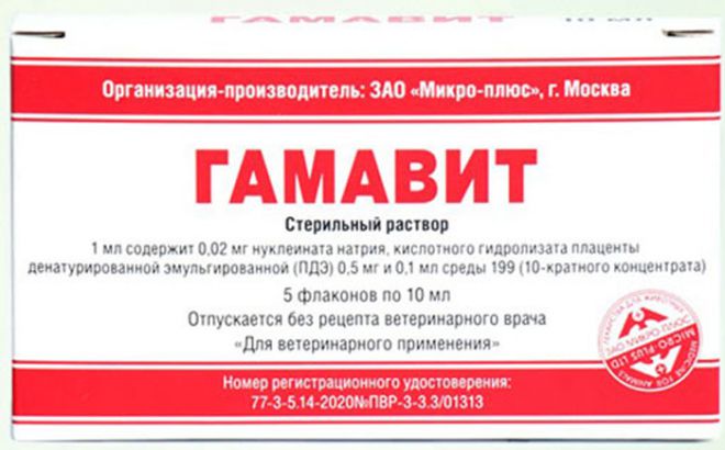 гамавит при демодекозе у собак гамавит при демодекозе у собак