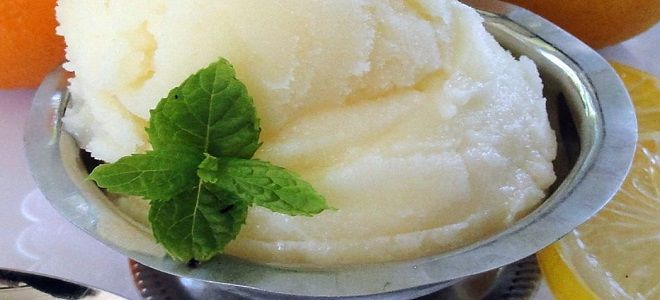 фото10 как приготовить мороженое щербет