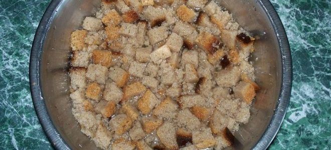 фото10 подкормка пионов весной хлебом