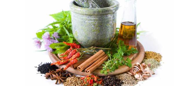 травы от грибка ногтей травы от грибка ногтей