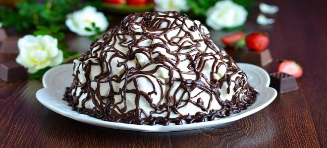 Панчо с черносливом Панчо с черносливом