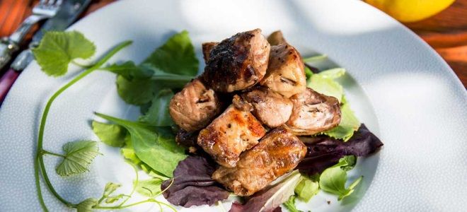 Шашлык из сазана рецепт Шашлык из сазана рецепт