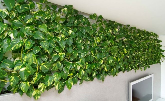 эпипремиум в интерьере вертикально эпипремиум в интерьере вертикально